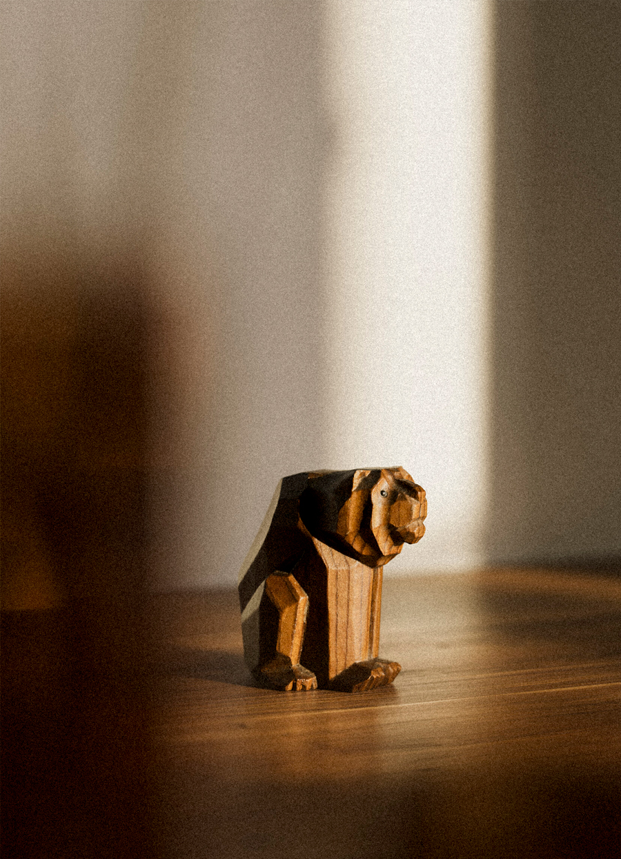 Tora_250606_Post-scaled-1_02